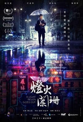 灯火阑珊 正在观看 完结版