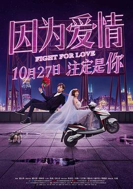 因为爱情有奇缘 流畅播放 超清版