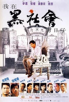 我在黑社会的日子 云播放 高清中字