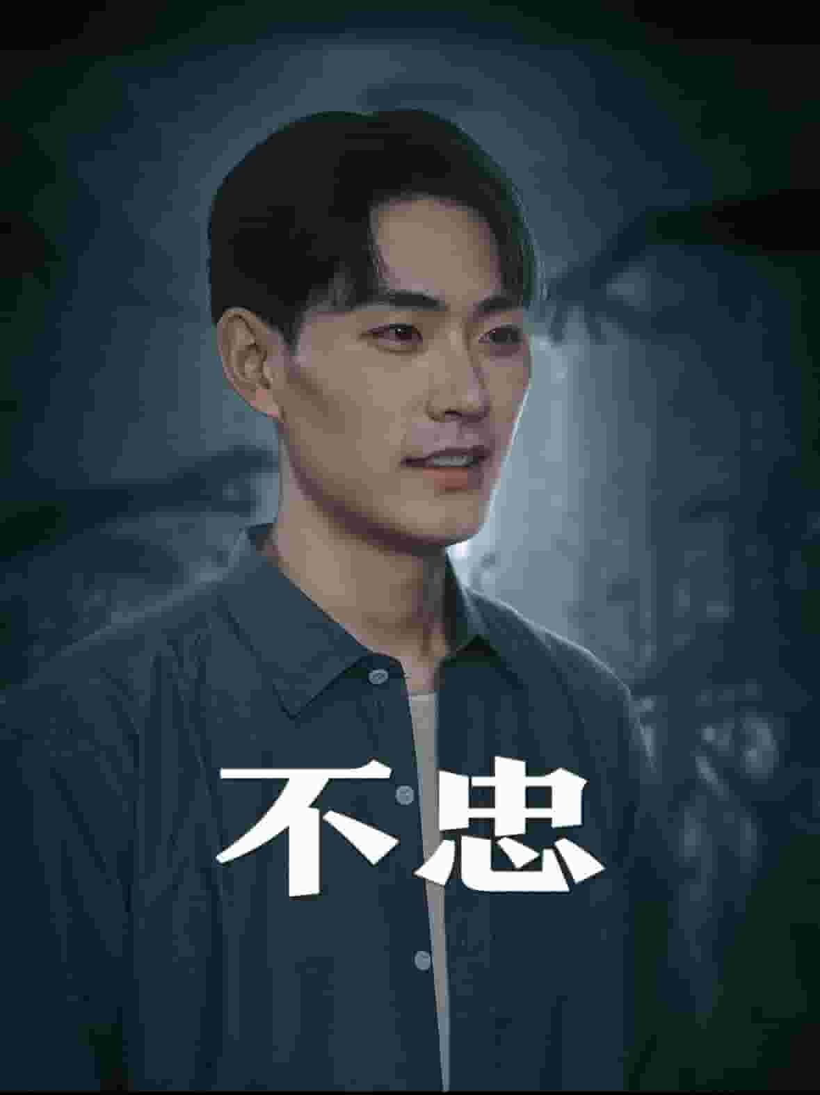 我本将心向明月 人气排行 全集