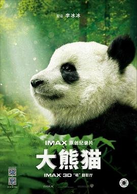 大熊猫资料三年级下册 热门榜单 全集