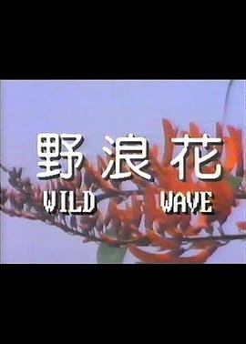 野浪花免费观看全集电视剧 热门榜单