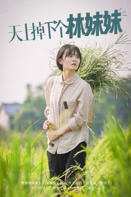 天下掉下个林妹妹 全集播放 超清版