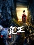 鼠王 极速播放 全集完结